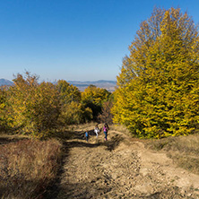 Amazing Autumn Panorama of Cherna Gora (Monte Negro) mountain, Pernik Region, Bulgaria