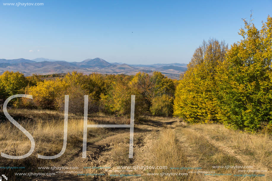 Amazing Autumn Panorama of Cherna Gora (Monte Negro) mountain, Pernik Region, Bulgaria