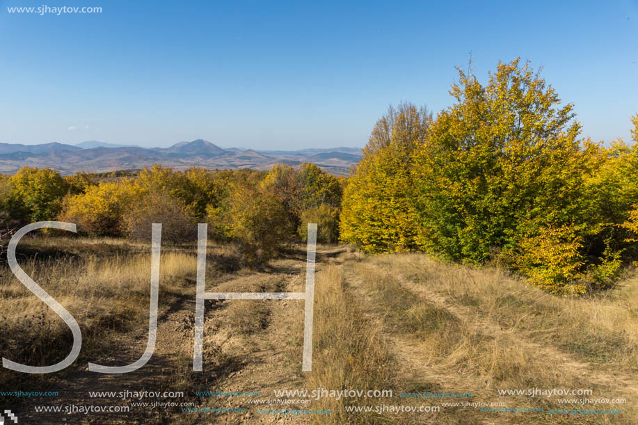 Amazing Autumn Panorama of Cherna Gora (Monte Negro) mountain, Pernik Region, Bulgaria