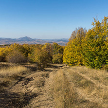 Amazing Autumn Panorama of Cherna Gora (Monte Negro) mountain, Pernik Region, Bulgaria