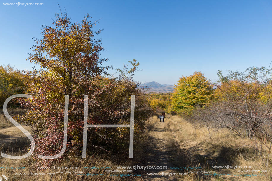 Amazing Autumn Panorama of Cherna Gora (Monte Negro) mountain, Pernik Region, Bulgaria