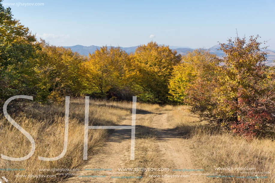 Amazing Autumn Panorama of Cherna Gora (Monte Negro) mountain, Pernik Region, Bulgaria