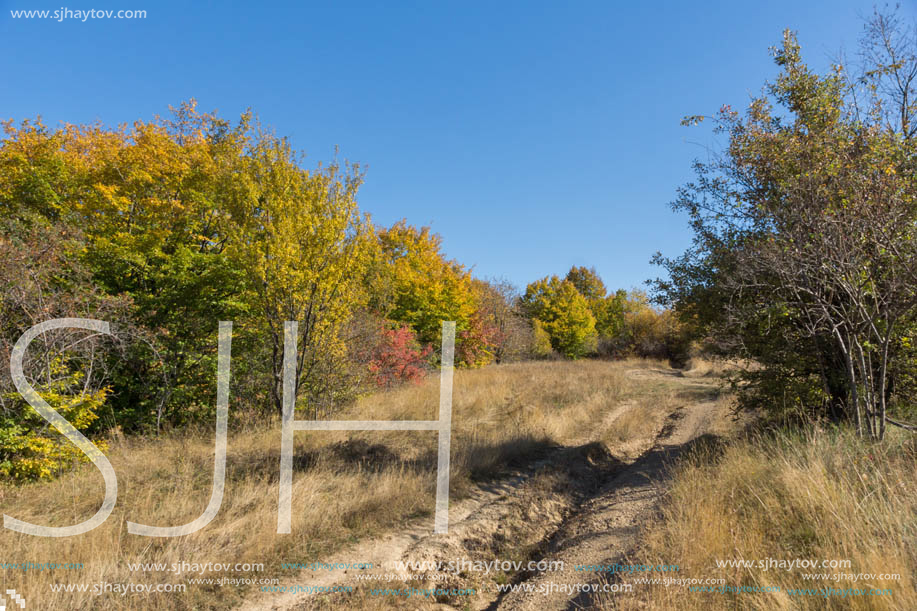 Amazing Autumn Panorama of Cherna Gora (Monte Negro) mountain, Pernik Region, Bulgaria