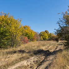 Amazing Autumn Panorama of Cherna Gora (Monte Negro) mountain, Pernik Region, Bulgaria