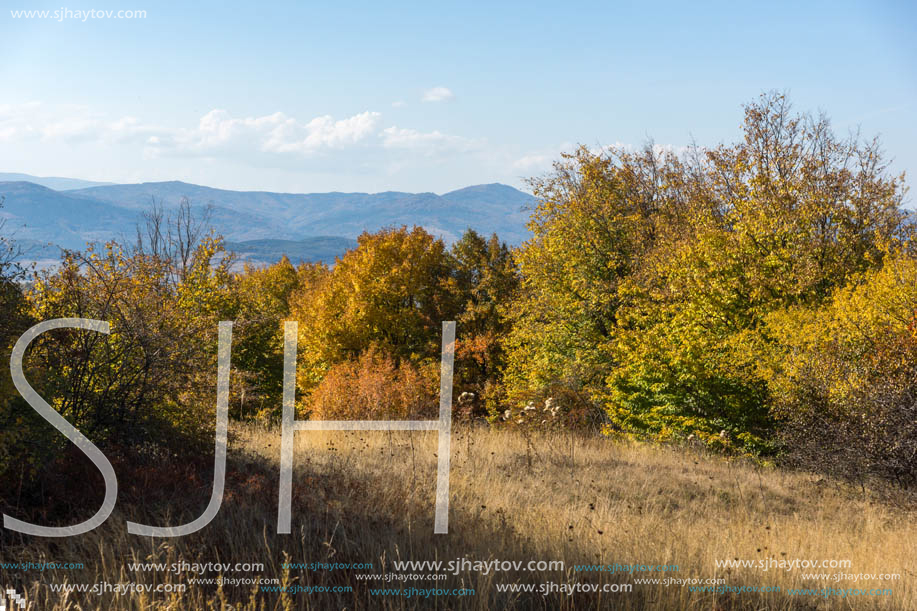 Amazing Autumn Panorama of Cherna Gora (Monte Negro) mountain, Pernik Region, Bulgaria