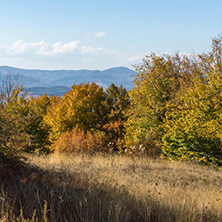 Amazing Autumn Panorama of Cherna Gora (Monte Negro) mountain, Pernik Region, Bulgaria