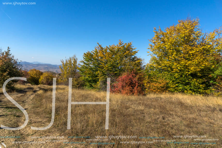 Amazing Autumn Panorama of Cherna Gora (Monte Negro) mountain, Pernik Region, Bulgaria