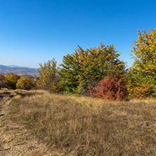 Amazing Autumn Panorama of Cherna Gora (Monte Negro) mountain, Pernik Region, Bulgaria