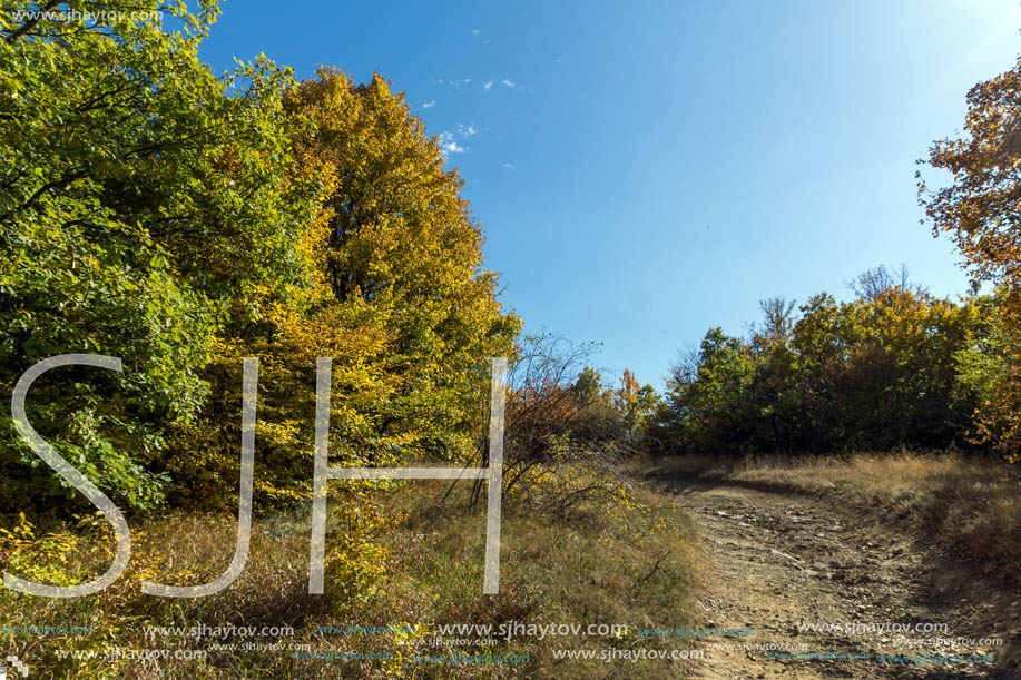 Amazing Autumn Panorama of Cherna Gora (Monte Negro) mountain, Pernik Region, Bulgaria