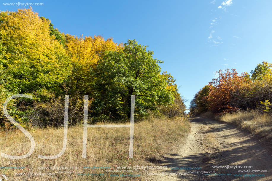 Amazing Autumn Panorama of Cherna Gora (Monte Negro) mountain, Pernik Region, Bulgaria