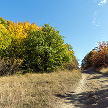 Amazing Autumn Panorama of Cherna Gora (Monte Negro) mountain, Pernik Region, Bulgaria