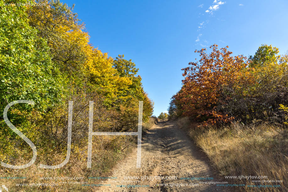 Amazing Autumn Panorama of Cherna Gora (Monte Negro) mountain, Pernik Region, Bulgaria