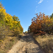 Amazing Autumn Panorama of Cherna Gora (Monte Negro) mountain, Pernik Region, Bulgaria