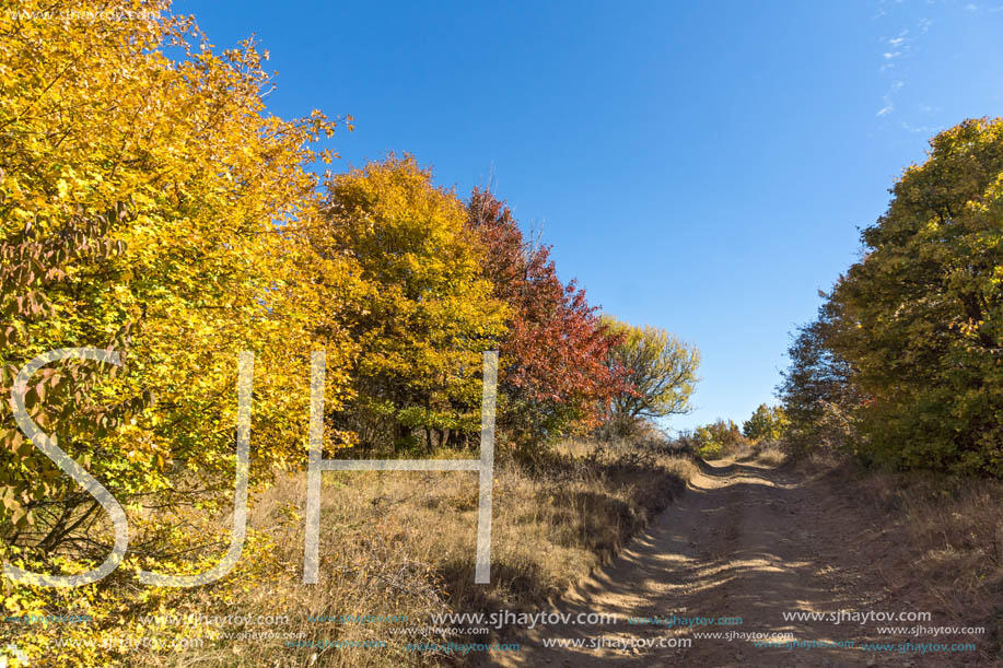 Amazing Autumn Panorama of Cherna Gora (Monte Negro) mountain, Pernik Region, Bulgaria