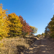 Amazing Autumn Panorama of Cherna Gora (Monte Negro) mountain, Pernik Region, Bulgaria