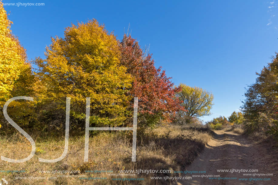 Amazing Autumn Panorama of Cherna Gora (Monte Negro) mountain, Pernik Region, Bulgaria