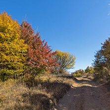 Amazing Autumn Panorama of Cherna Gora (Monte Negro) mountain, Pernik Region, Bulgaria