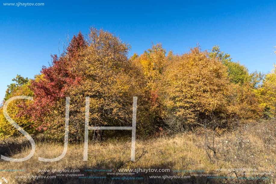 Amazing Autumn Panorama of Cherna Gora (Monte Negro) mountain, Pernik Region, Bulgaria