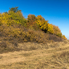 Amazing Autumn Panorama of Cherna Gora (Monte Negro) mountain, Pernik Region, Bulgaria