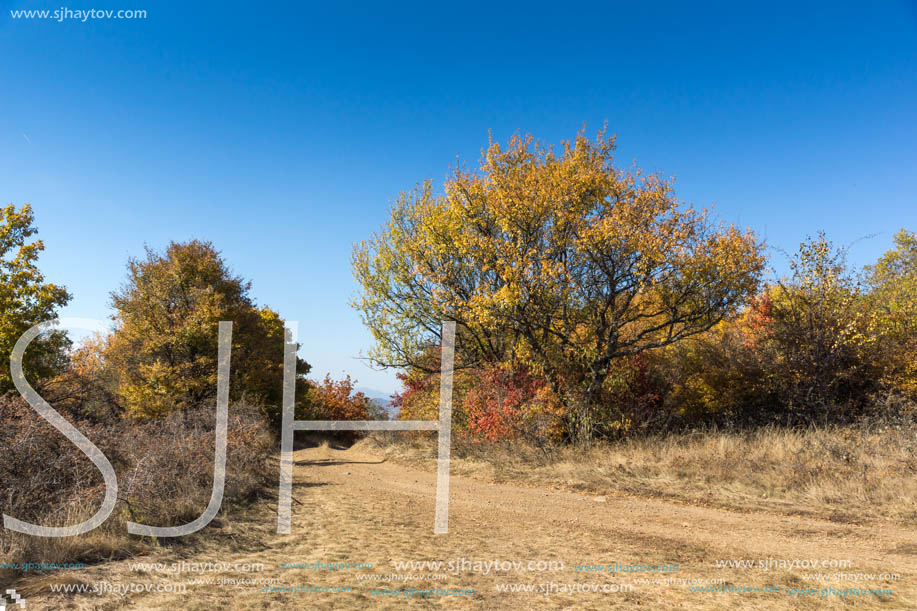 Amazing Autumn Panorama of Cherna Gora (Monte Negro) mountain, Pernik Region, Bulgaria