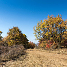 Amazing Autumn Panorama of Cherna Gora (Monte Negro) mountain, Pernik Region, Bulgaria