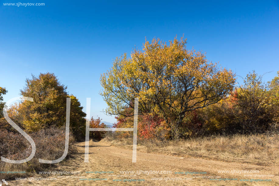 Amazing Autumn Panorama of Cherna Gora (Monte Negro) mountain, Pernik Region, Bulgaria