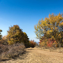 Amazing Autumn Panorama of Cherna Gora (Monte Negro) mountain, Pernik Region, Bulgaria