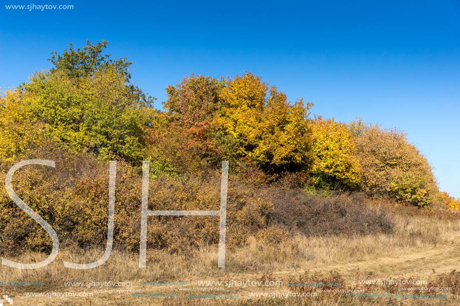 Amazing Autumn Panorama of Cherna Gora (Monte Negro) mountain, Pernik Region, Bulgaria