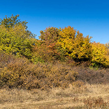 Amazing Autumn Panorama of Cherna Gora (Monte Negro) mountain, Pernik Region, Bulgaria