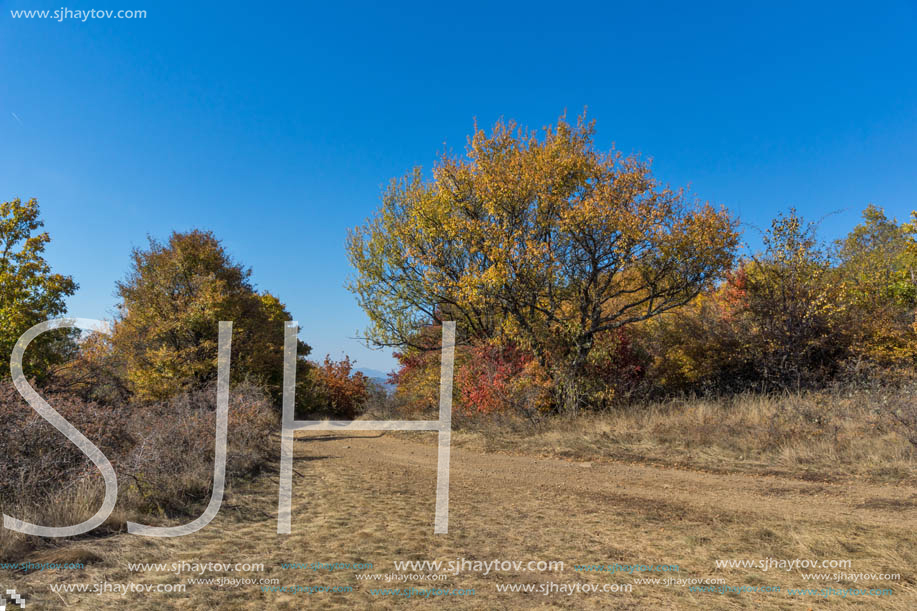 Amazing Autumn Panorama of Cherna Gora (Monte Negro) mountain, Pernik Region, Bulgaria