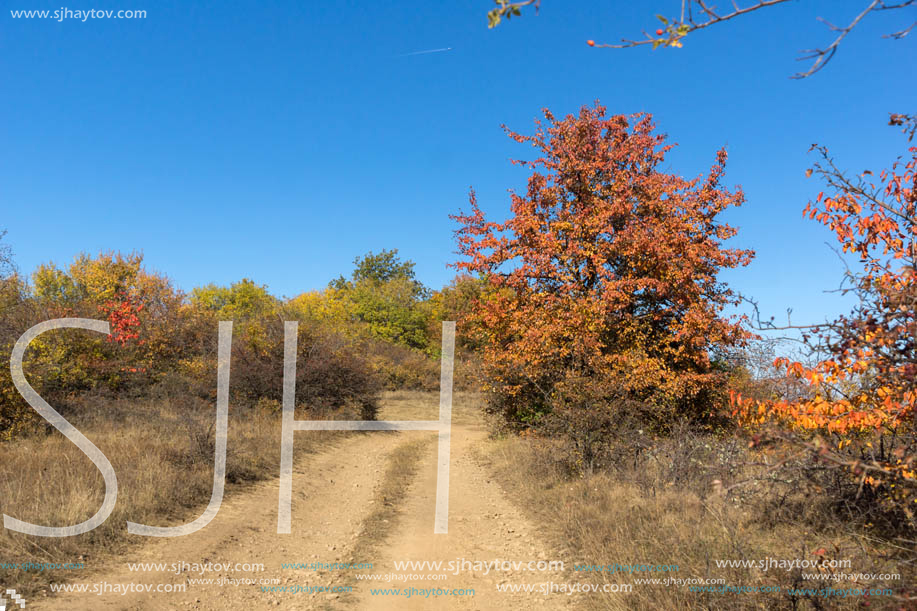 Amazing Autumn Panorama of Cherna Gora (Monte Negro) mountain, Pernik Region, Bulgaria