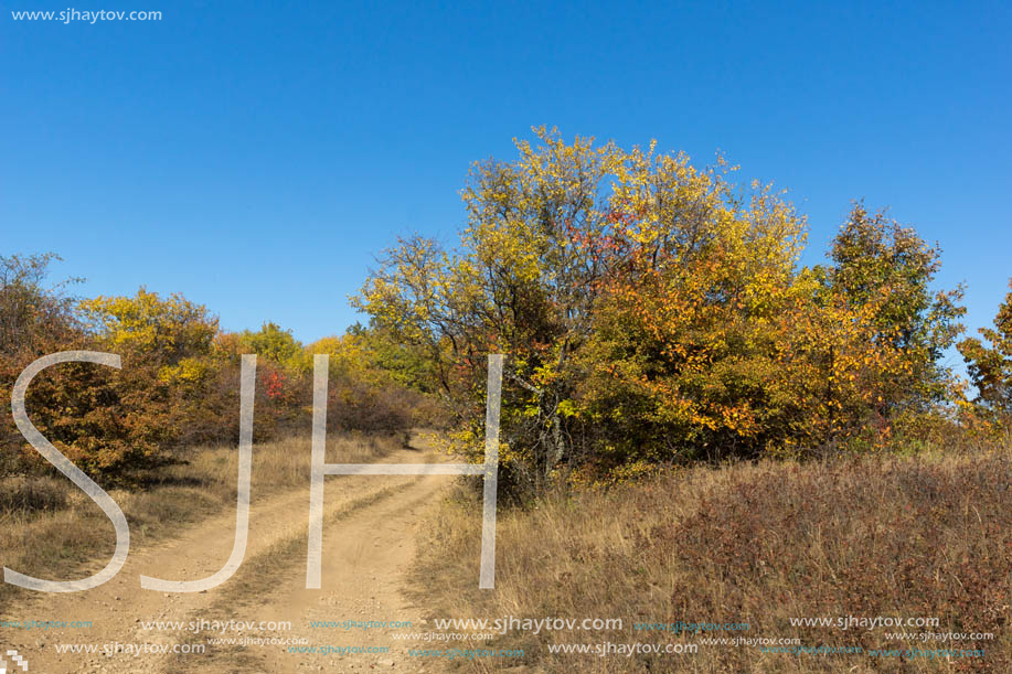 Amazing Autumn Panorama of Cherna Gora (Monte Negro) mountain, Pernik Region, Bulgaria