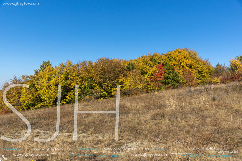 Amazing Autumn Panorama of Cherna Gora (Monte Negro) mountain, Pernik Region, Bulgaria