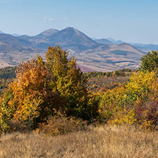 Amazing Autumn Panorama of Cherna Gora (Monte Negro) mountain, Pernik Region, Bulgaria